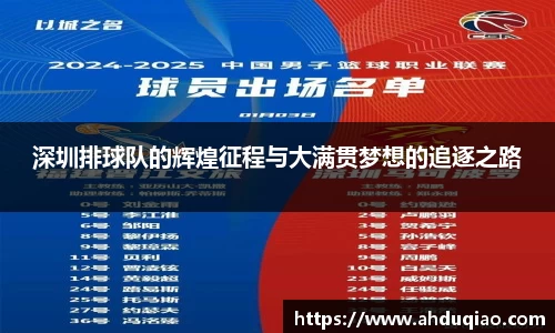 深圳排球队的辉煌征程与大满贯梦想的追逐之路